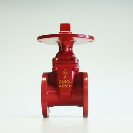 van-cong-fm-ty-chim-1