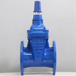 van-cong-ty-chim-nap-chup-1-min